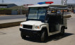 Patrol car DN-4-6 (four-seat)