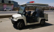 Patrol car DN-4-6 (four-seat)