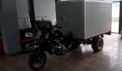 Muravey (scooter) XL250ZH-8