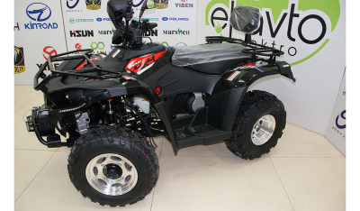 LH300ATV-3D (two-seat)