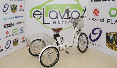 Üçtəkərli DW101 (350W)