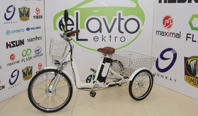 Üçtəkərli DW101 (350W)