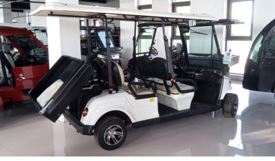 DU-G4S-8+cargo (four-seat)